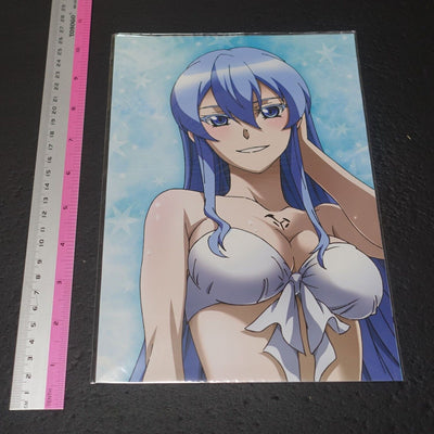 Akame ga Kill! Warter Resistant Poster 75 x 15 cm Esdeath