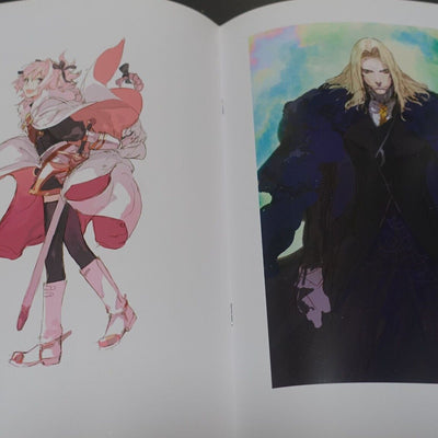 Pako Hyper Sonic Soul Fate Grand Order FGO Official Designer's Fan Art Book 8Set