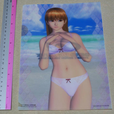 Dead or Alive Xtreme PVC Art Sheet Clear File Kasumi