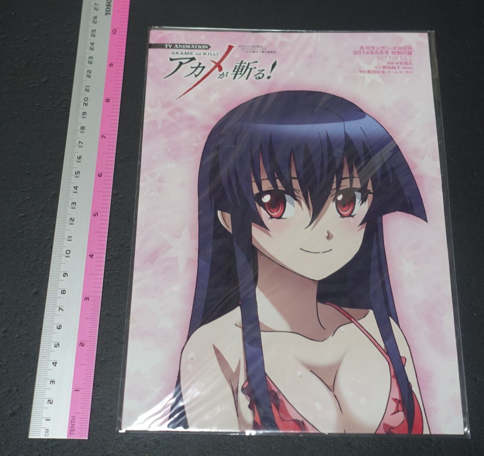 Akame ga Kill! Warter Resistant Poster 75 x 15 cm