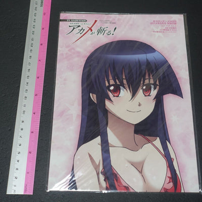 Akame ga Kill! Warter Resistant Poster 75 x 15 cm