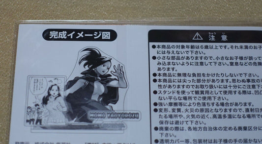 My Hero Academia Acrylic Diorama Stand Figure