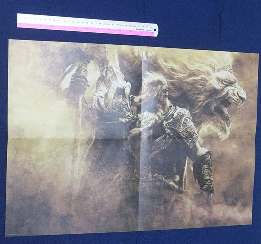 ELDEN RING World Map Poster Reversible