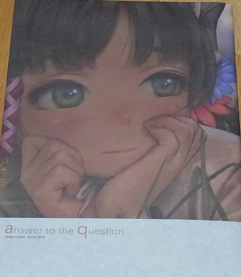 RANGE MURATA Color Art Book answer to the question C91