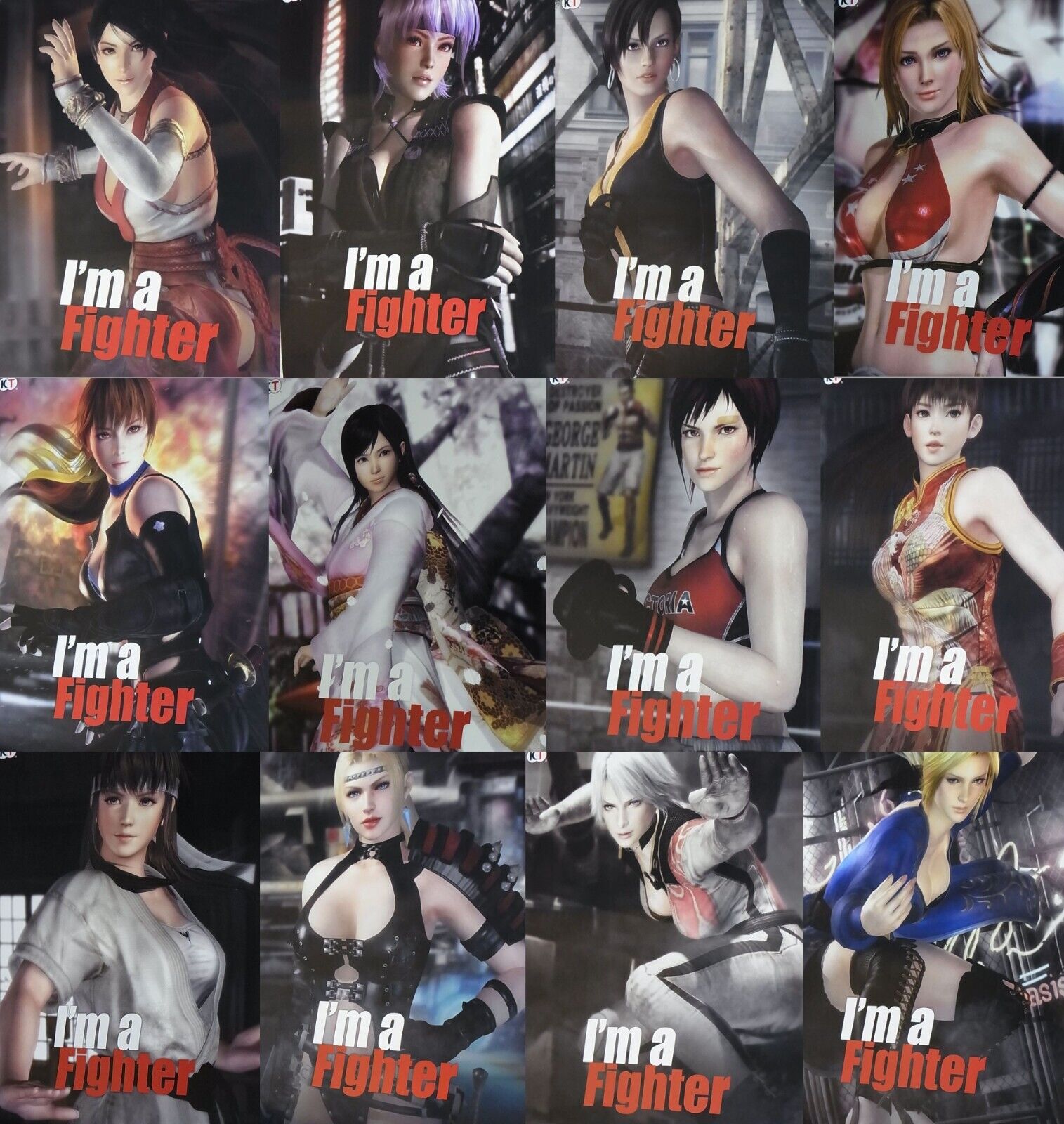 Dead Or Alive DOA I'm a Fighter Poster 12 piece Complete Set 51 x 72 cm