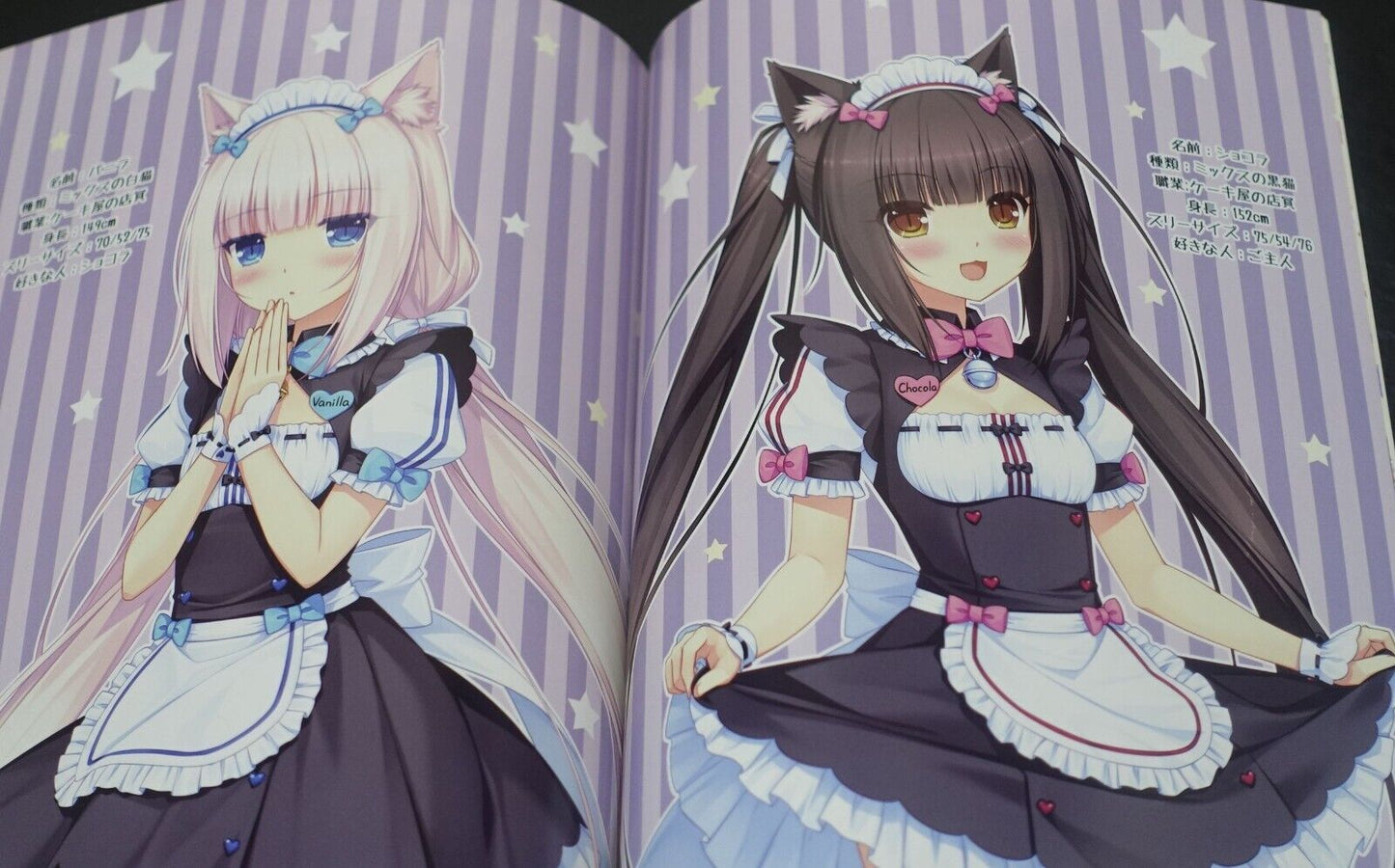 NEKO WORKs Sayori Nekopara Chocola & Vanilla Color Art & Comic Book Nekopara 01