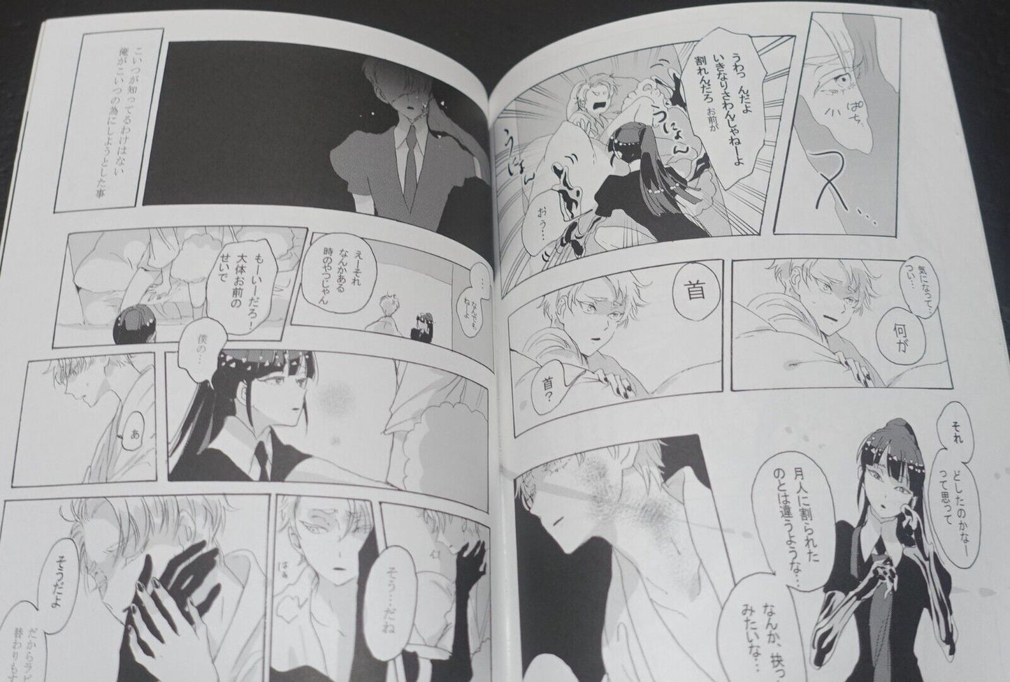 Lotsurechiriha Houseki no Kuni Land of the Lustrous Color Fan Art Book Yume no