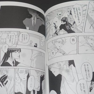 Lotsurechiriha Houseki no Kuni Land of the Lustrous Color Fan Art Book Yume no