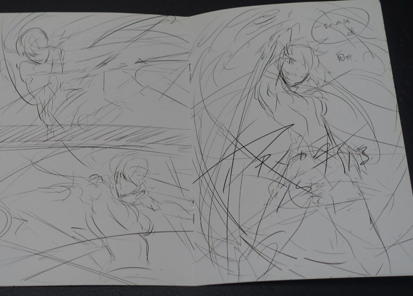 Tetsuya Tashiro Akame ga Kill! Rought Illustration Art Mini Booklet G 8page
