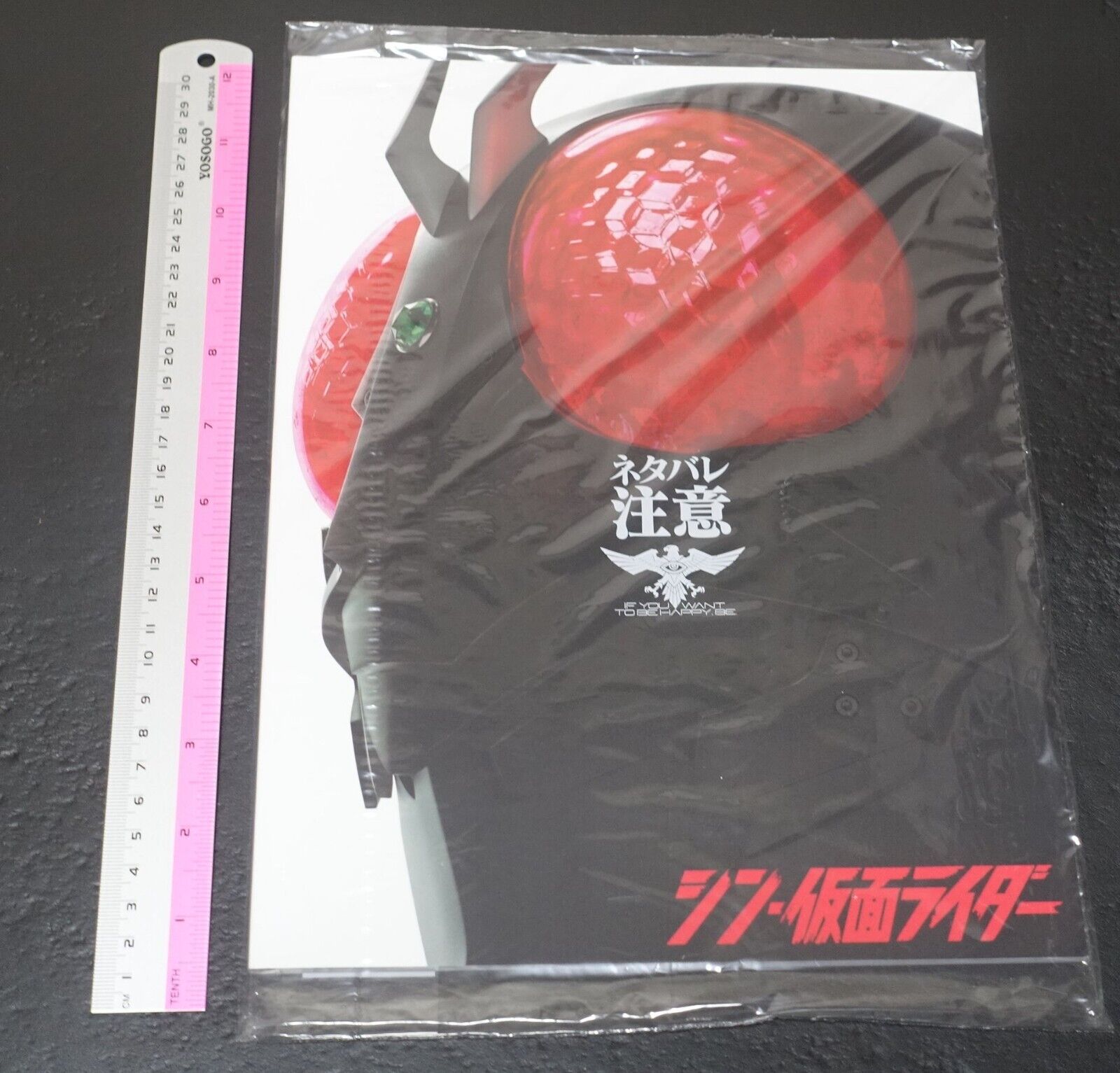 Shin Kamen Rider Brochure Pamphlet Masked