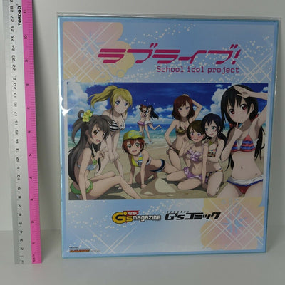 LOVE LIVE! Dengeki G's Magazine Privilege Shikishi Art Board