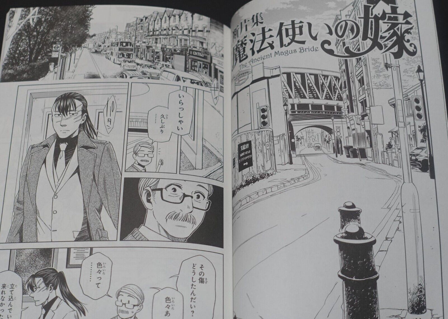 Kore Yamazaki The Ancient Magus Bride Special Comic fragments vol.1-4