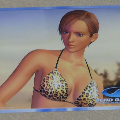 Dead or Alive Xtreme PVC Reversible Art Board Kasumi & Lisa