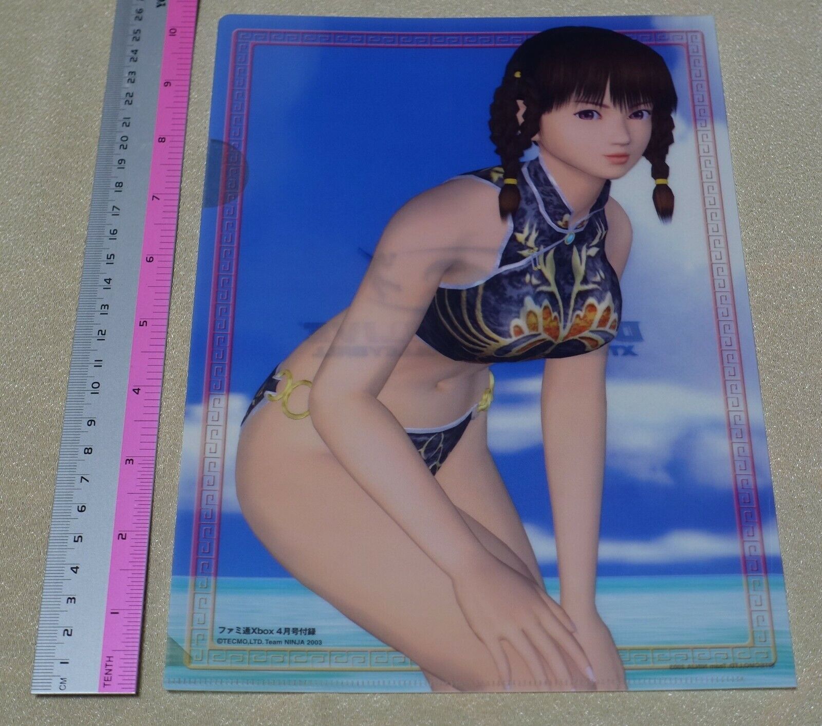 Dead or Alive Xtreme PVC Art Sheet Clear File Leifang