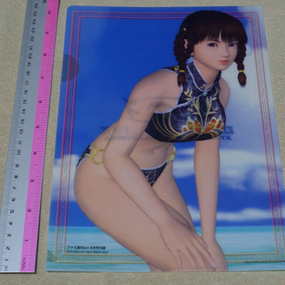 Dead or Alive Xtreme PVC Art Sheet Clear File Leifang