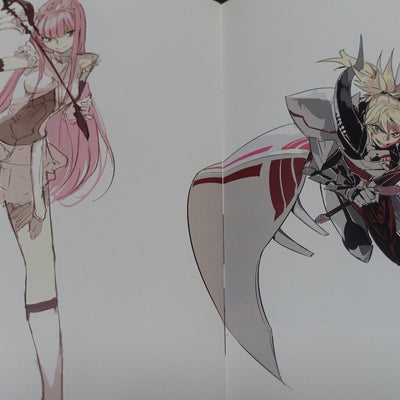 Pako Hyper Sonic Soul Fate Grand Order FGO Official Designer's Fan Art Book 8Set