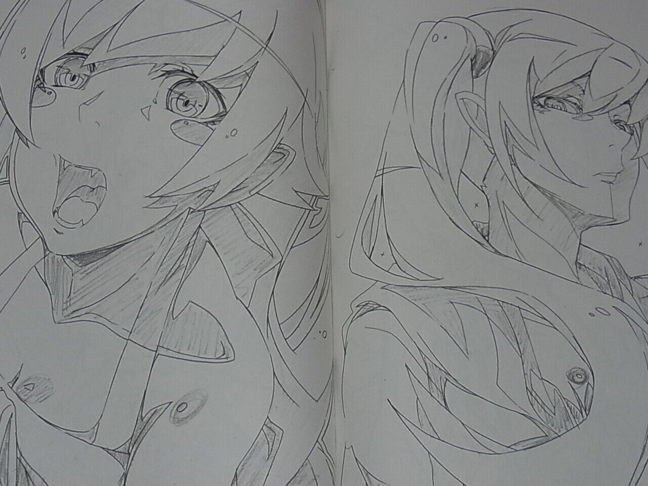 Yataneko IDOL Bakemonogatari Animation Staff's Fan Art Book Shinomonogatari