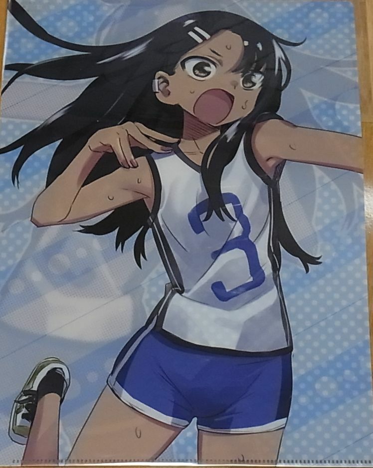 IJIRANAIDE, NAGATORO SAN Special Clear File Volley Ball