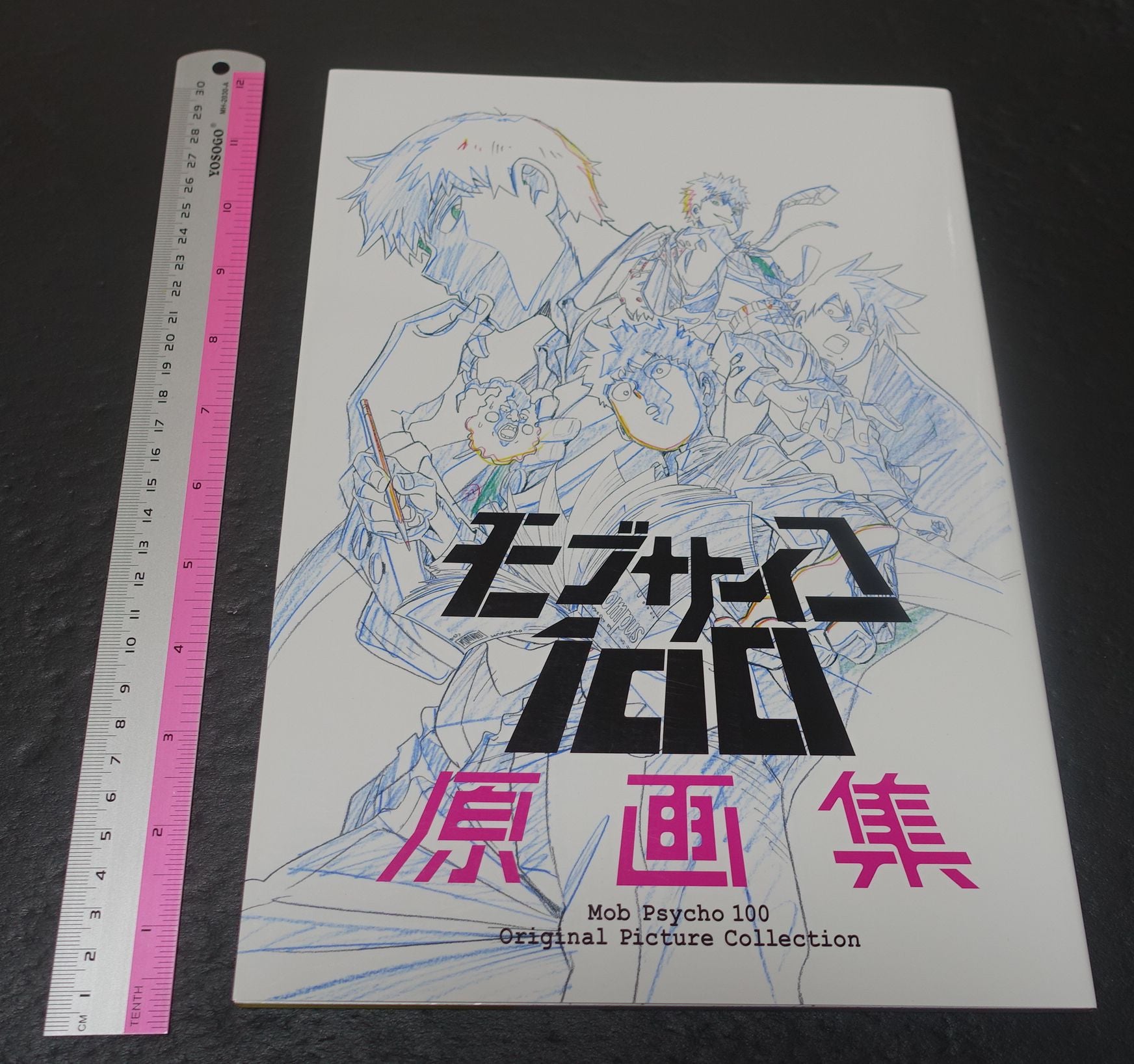 BONES Yoshimichi Kameda Mob Psycho 100 Key Frame Art Work Book