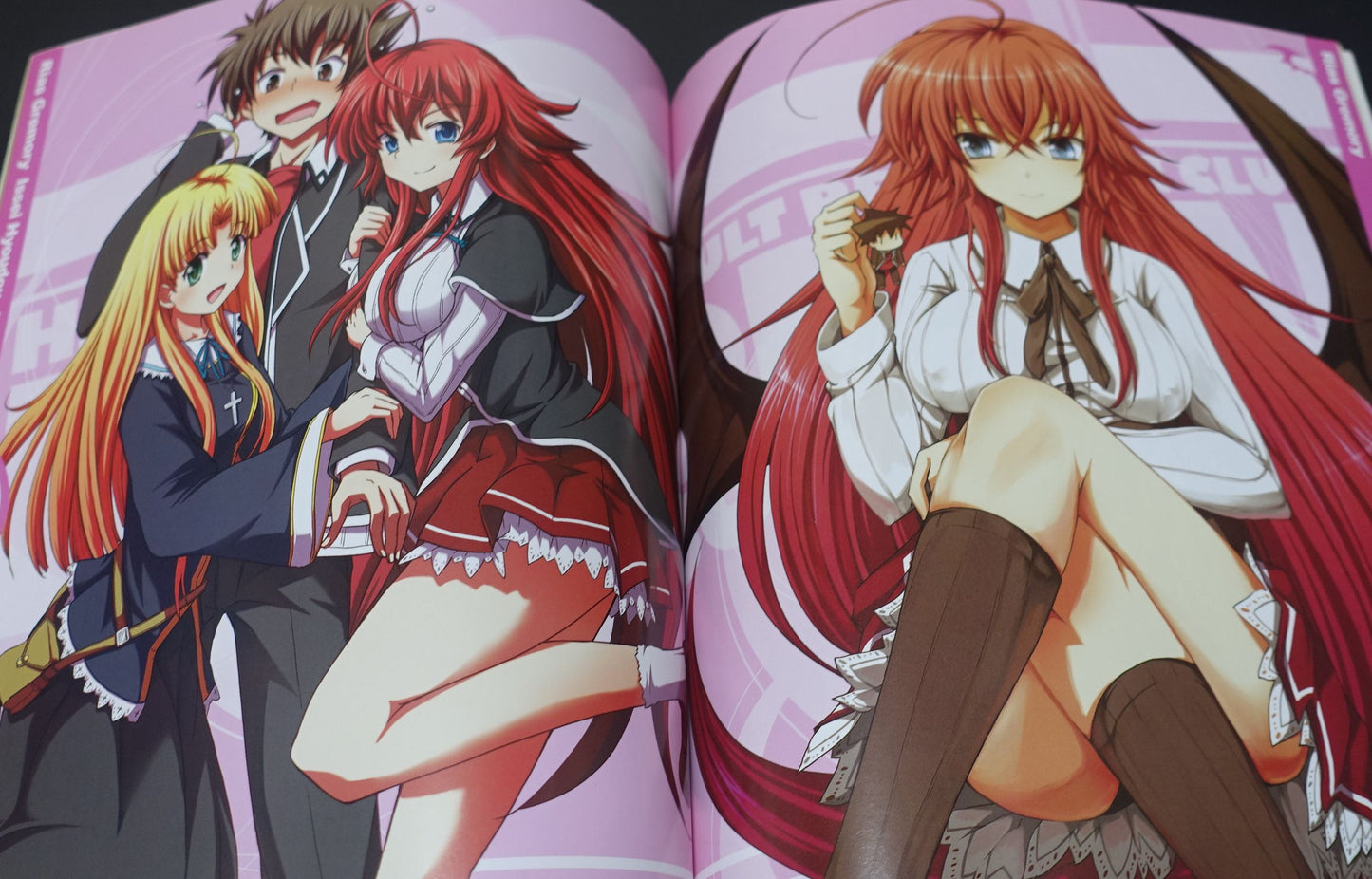High School D x D Novel & Illustration Art Book OPPAI BOOST