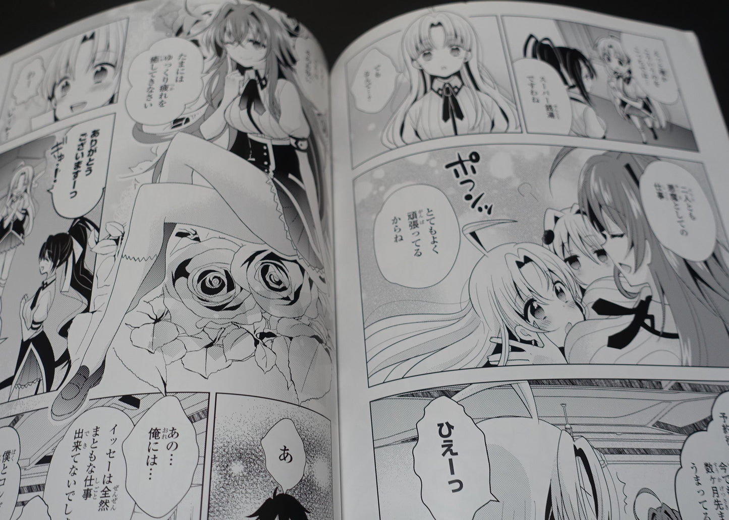 High School D x D Novel & Comic & Illustration Art Book OPPAI BOOST 2nd