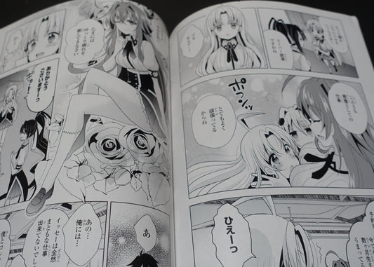 High School D x D Novel & Comic & Illustration Art Book OPPAI BOOST 2nd