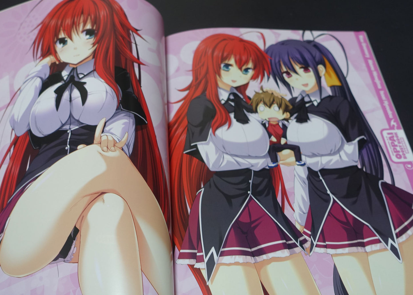 High School D x D Novel & Comic & Illustration Art Book OPPAI BOOST 2nd