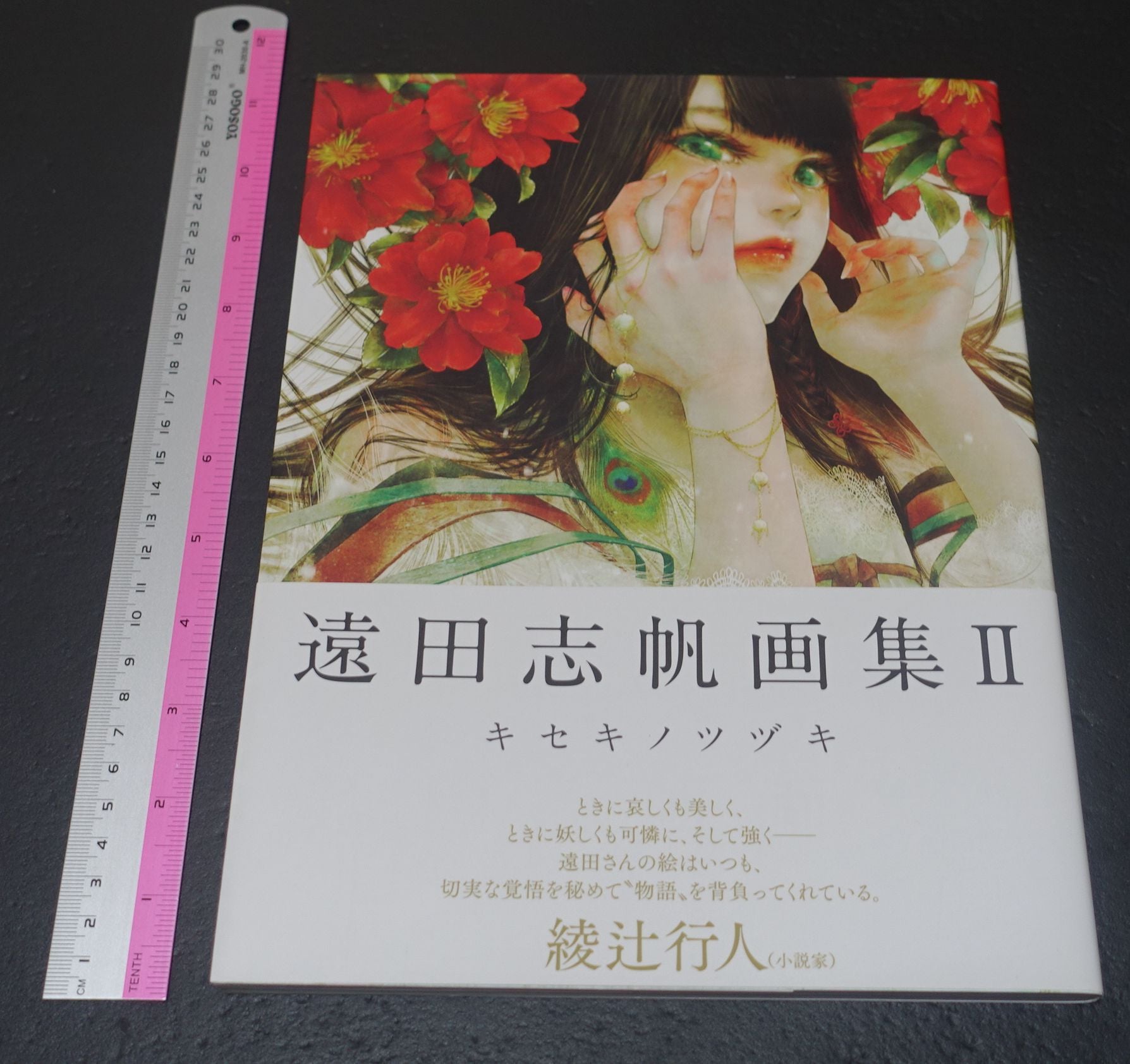 SHIHO ENTA ART WORK 2014-2021 BOOK 2 Kiseki no Tsuduki