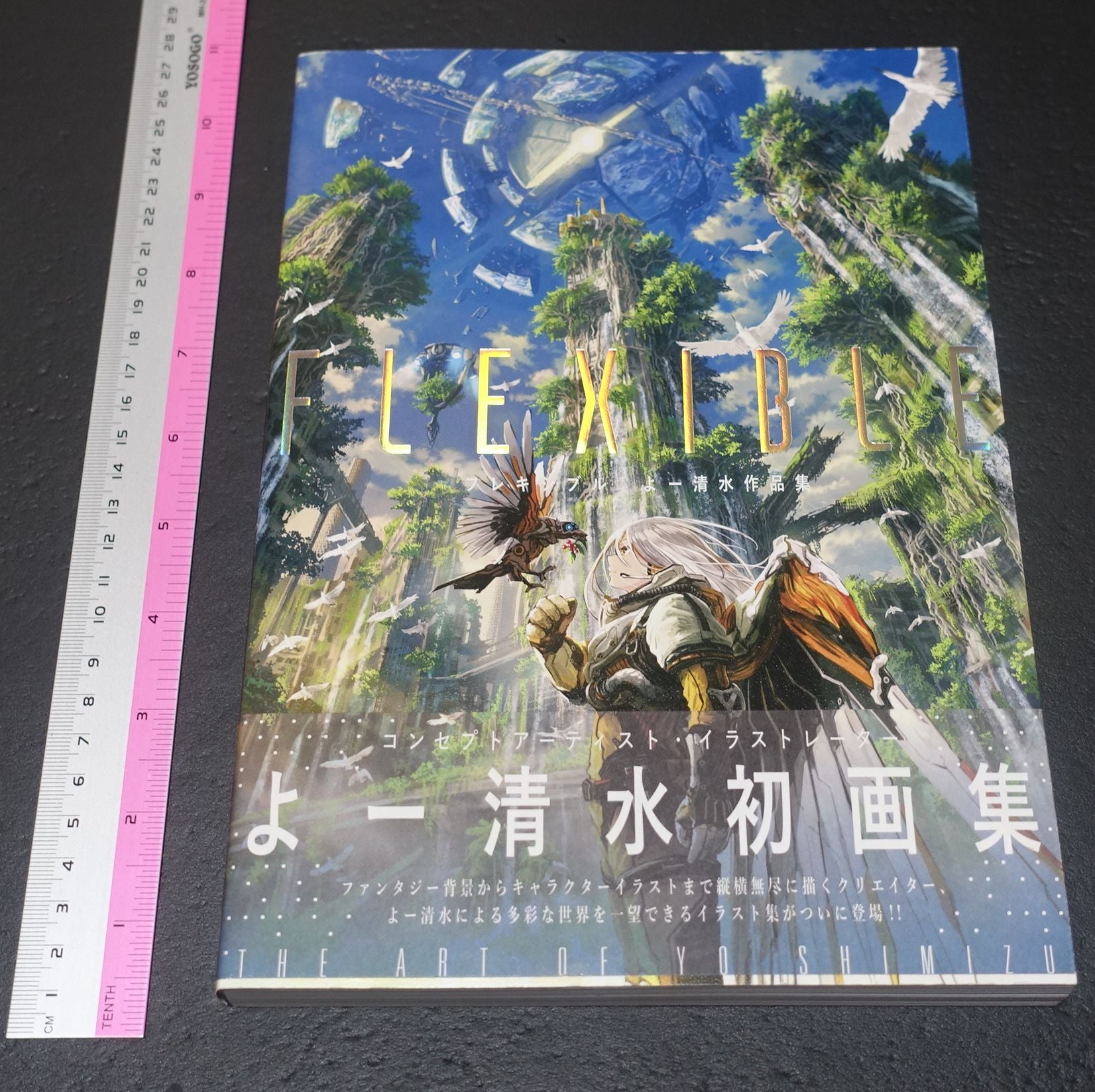 Yo Shimizu Concept Art Work Book FLEXIBLE