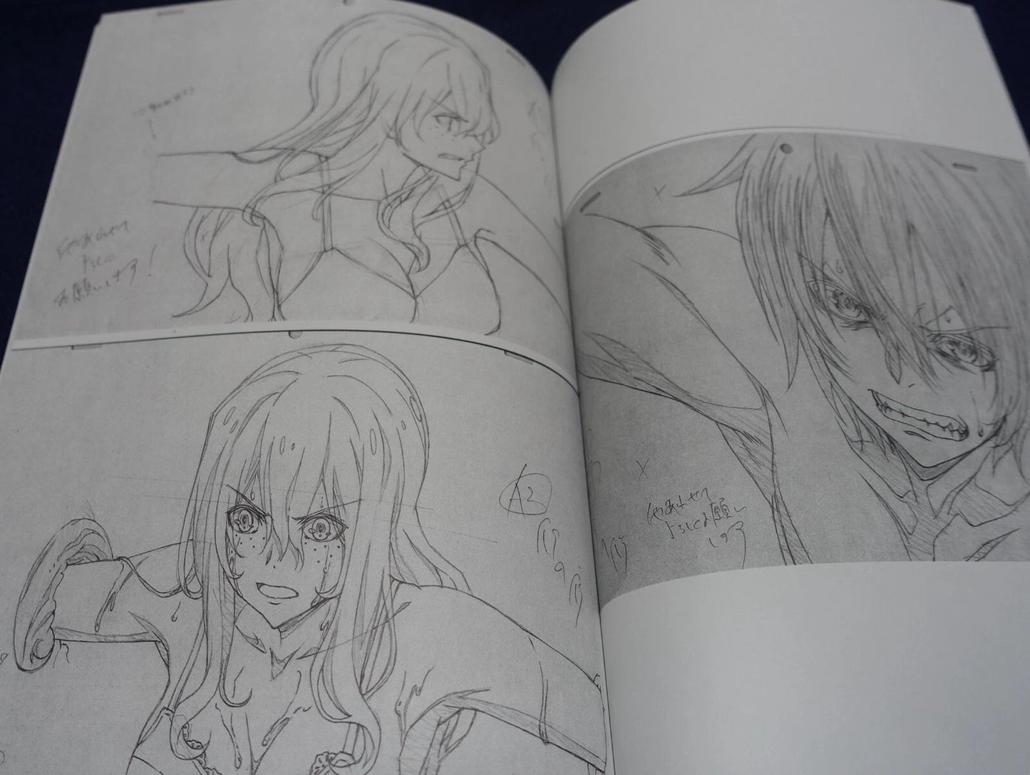 Takeshi Yoshioka Animation Gleipnir Key Frame Art Work Book ILLUSTRATIONS