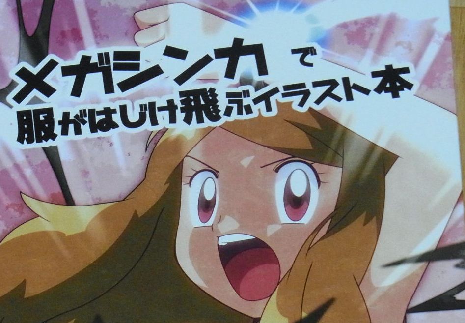 Hain's Serena Color Fan Art Book Mega Shinka de Fuku ga Hajiketobu C92