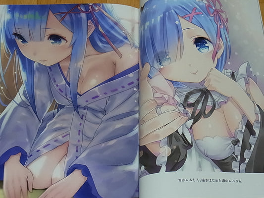 KamikiriBasami Yasuyuki Re Zero & Fate FGO FAN Color Art Book REM x FGO C93