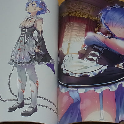 KamikiriBasami Yasuyuki Re Zero & Fate FGO FAN Color Art Book REM x FGO C93