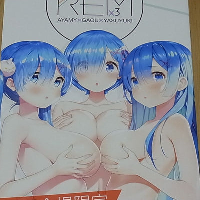 AYAMY x GAOU x YASUYUKI Re ZERO Rem Fan Art Book REM x3 Event Exclusive