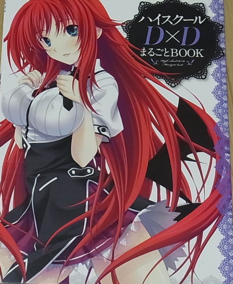 High School D X D Visual & Commentary Book High School D X D Marugoto Book