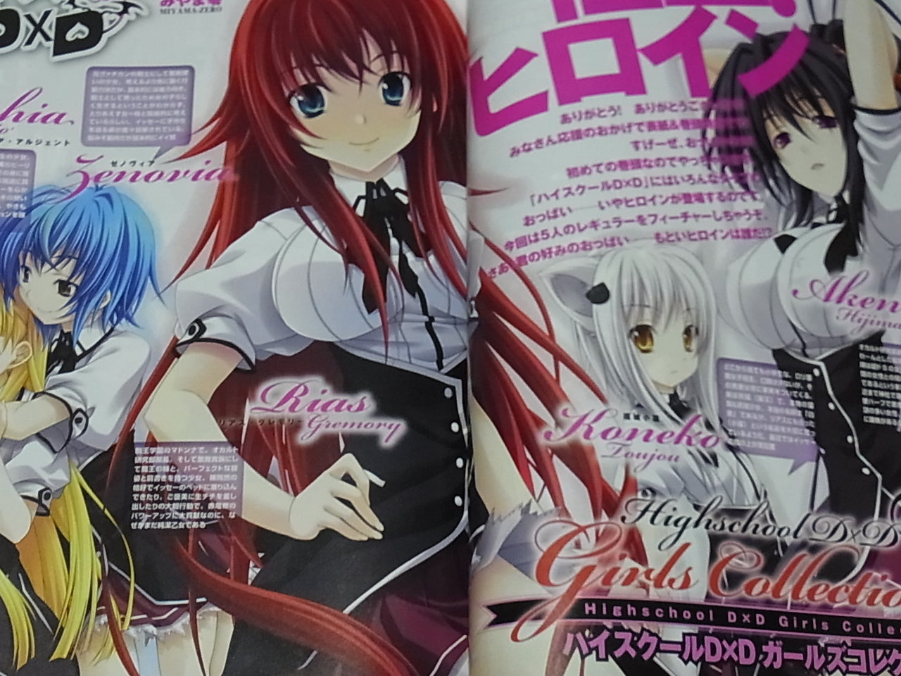 High School D X D Visual & Commentary Book High School D X D Marugoto Book