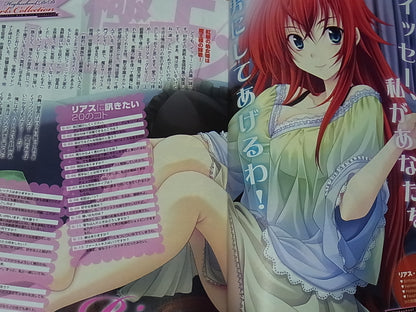 High School D X D Visual & Commentary Book High School D X D Marugoto Book