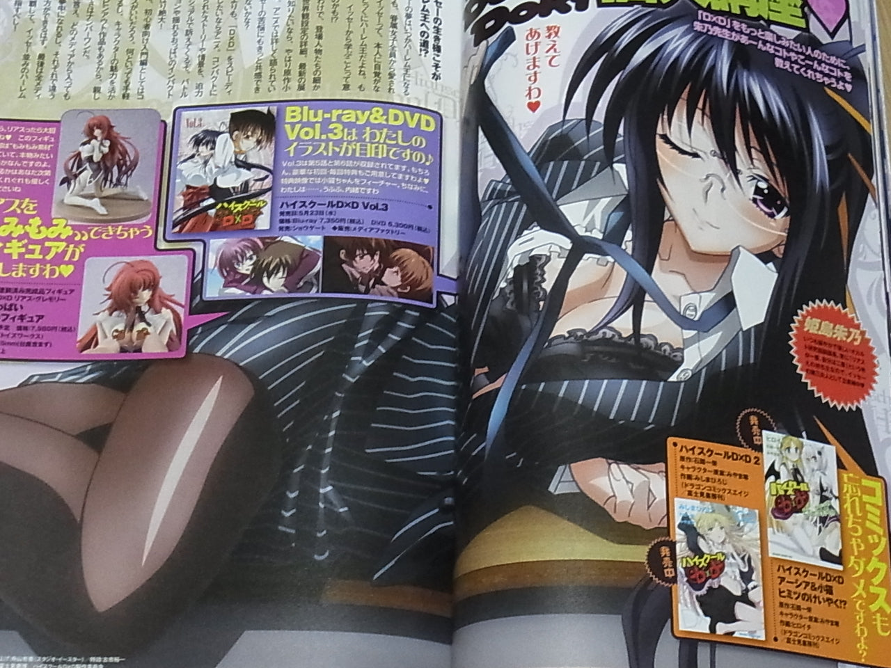High School D X D Visual & Commentary Book High School D X D Marugoto Book