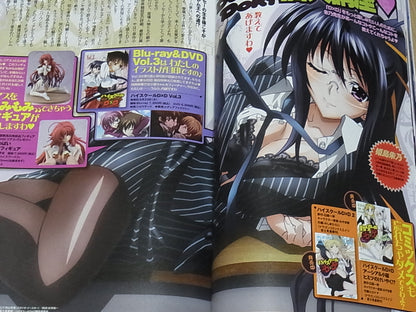 High School D X D Visual & Commentary Book High School D X D Marugoto Book