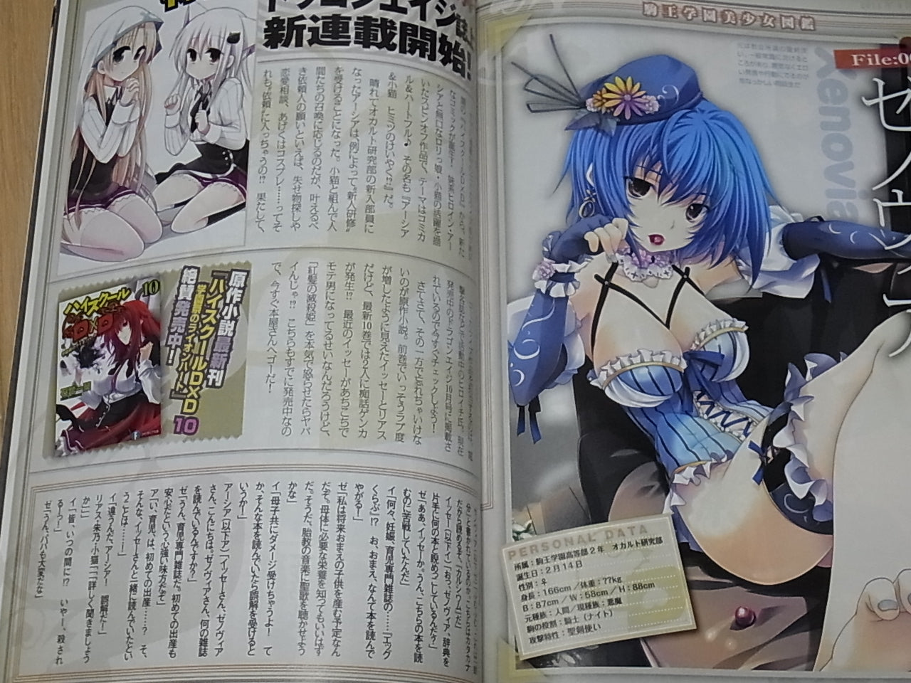High School D X D Visual & Commentary Book High School D X D Marugoto Book
