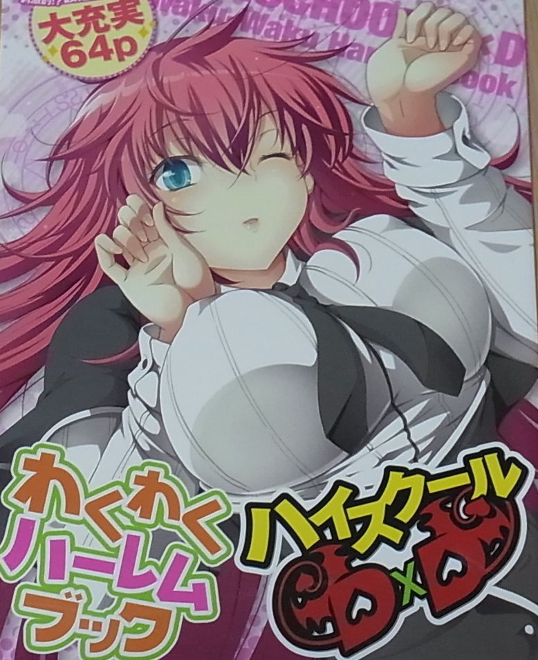 High School D X D Visual & Character Setting Art Book Waku Waku Harem Book