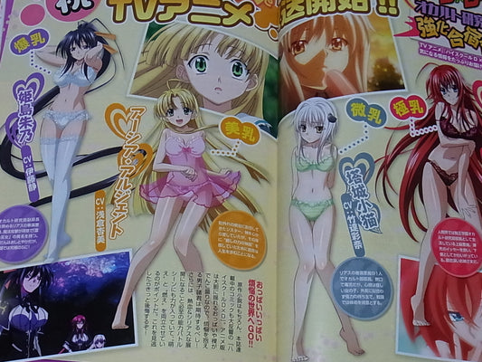 High School D X D Visual & Character Setting Art Book Waku Waku Harem Book