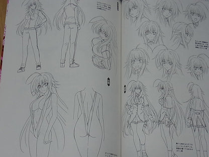 High School D X D Visual & Character Setting Art Book Waku Waku Harem Book