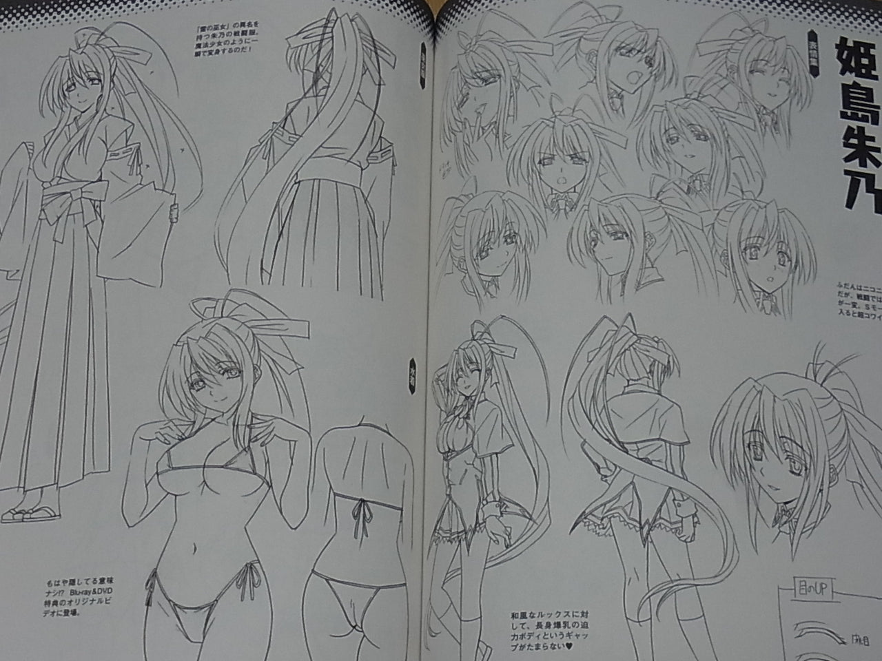High School D X D Visual & Character Setting Art Book Waku Waku Harem Book
