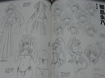 High School D X D Visual & Character Setting Art Book Waku Waku Harem Book