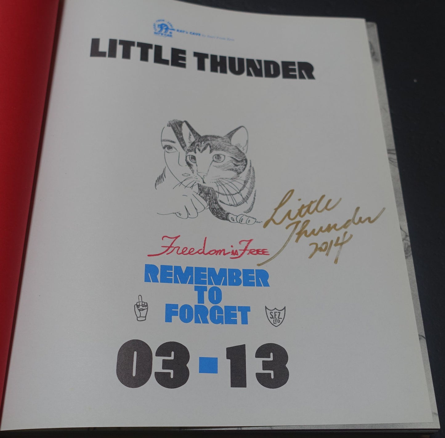 Little Thunder Hard Cover Art Book REMEMBER TO FORGET 2003-2013 320 page