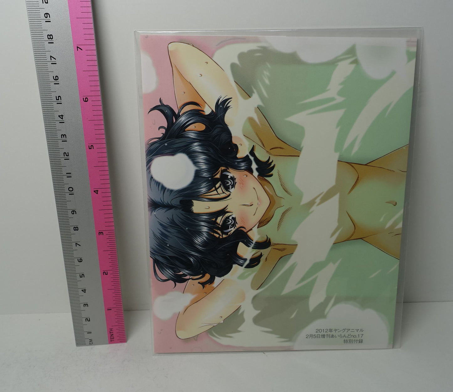 Amagami precious diary Comic vol.4 Special Book Cover Kaoru Tanamachi