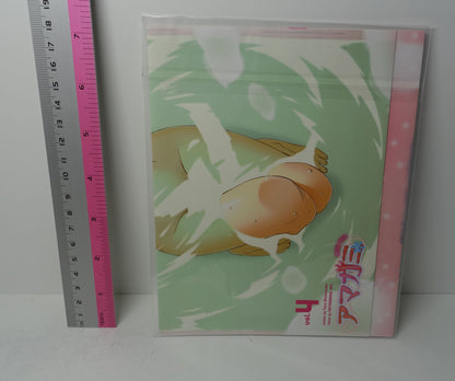 Amagami precious diary Comic vol.4 Special Book Cover Kaoru Tanamachi