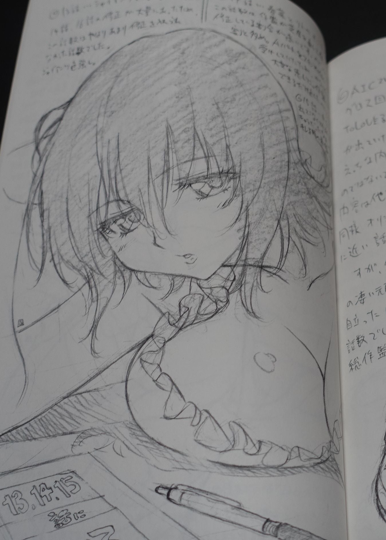 Yuichi Oka Okayu Dou To Love Ru Animation Character Designer's Illustration Art Book