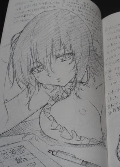 Yuichi Oka Okayu Dou To Love Ru Animation Character Designer's Illustration Art Book